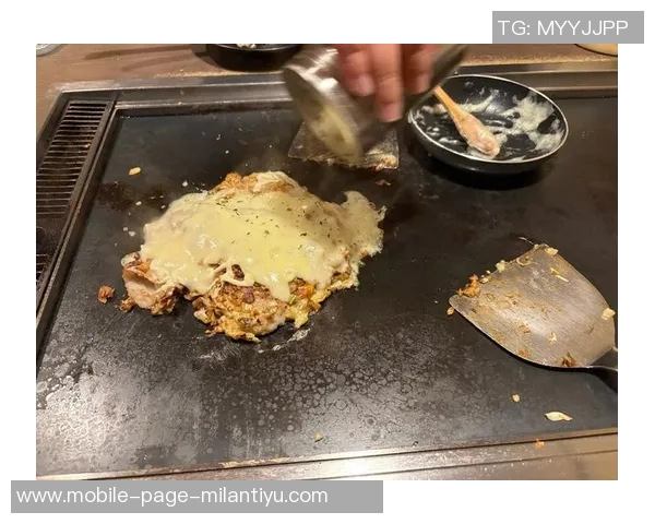 杨瀚森的日常生活：翻译工作与自制美食的简单乐趣