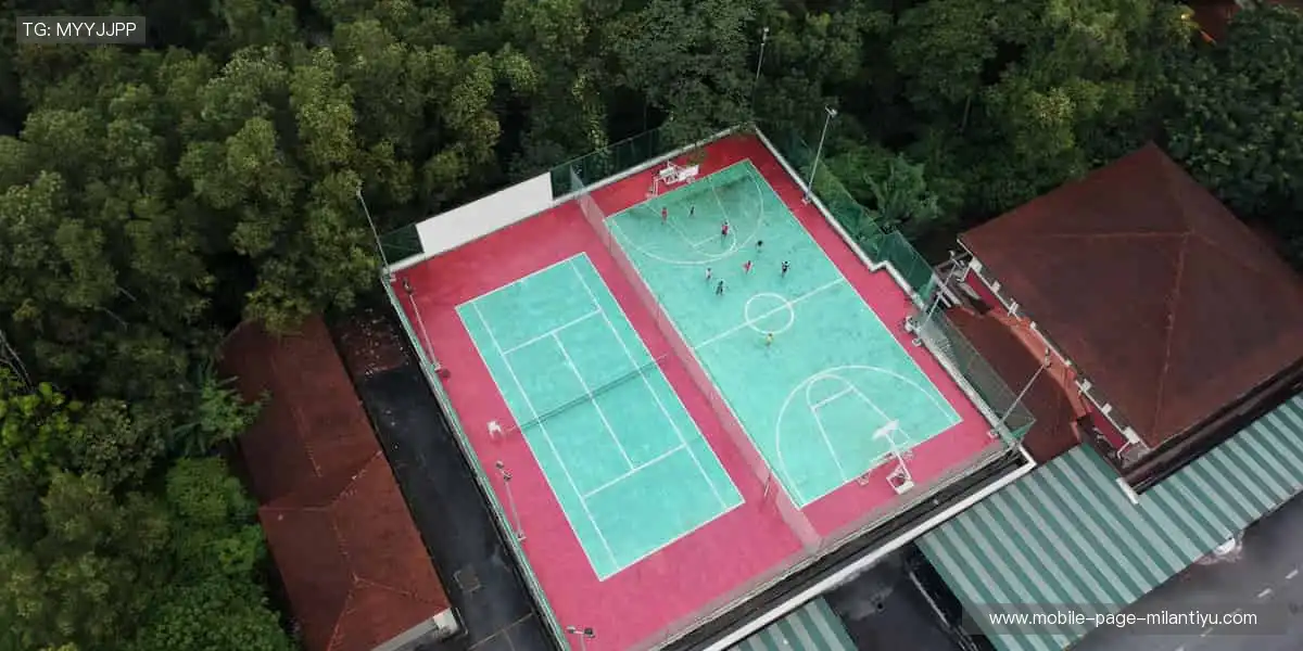 锁定热爱,每一场赛事都是心跳的理由!⚽️🏀